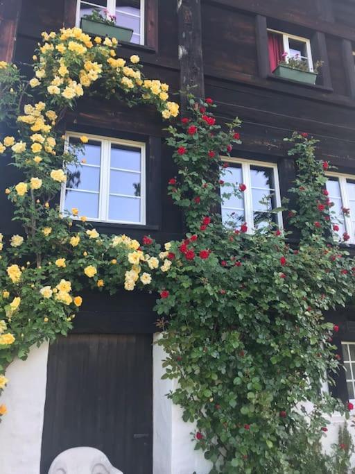 Charming Alps Apartment Perfect For Walk/Cycle/Ski Eschenbach Εξωτερικό φωτογραφία