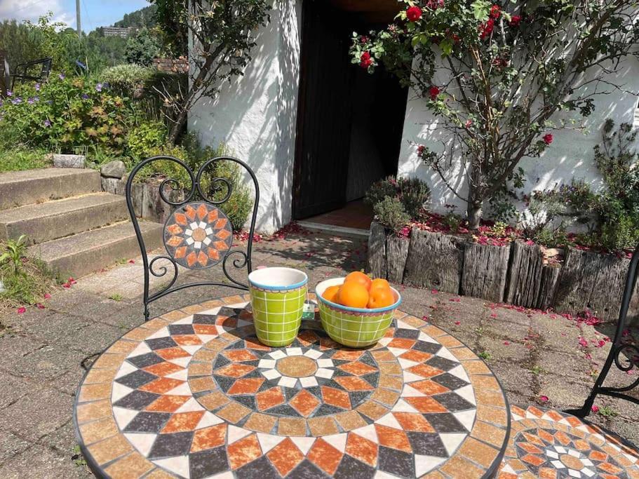 Charming Alps Apartment Perfect For Walk/Cycle/Ski Eschenbach Εξωτερικό φωτογραφία